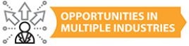 Opportunities in multiple industries
